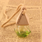 Bouteille vide rhombique du chapeau 8ML triangulaire, bouteille de parfum de voiture, bouteille de parfum de couleur, bouteille en verre de couleur avec le LOGO fait sur commande