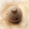 Diamètre de fil de la capsule de parfum d'automobile de chapeau en bois de hêtre d'Aromatherapy de parfum 12mm autour du type de chapeau personnalisable